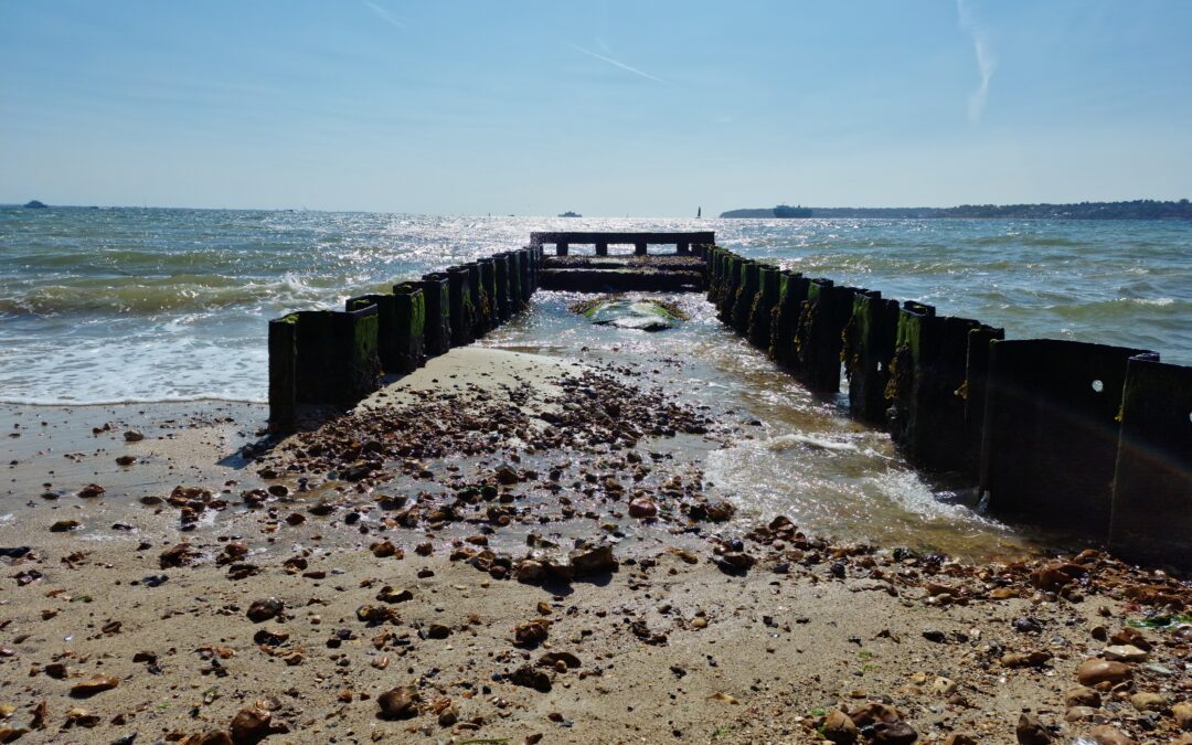 The New Forest Commemorates D Day 80