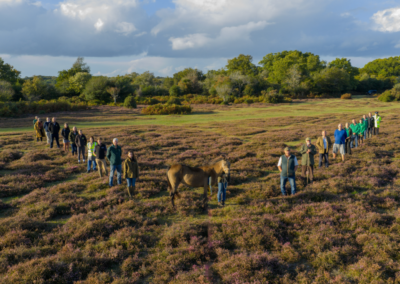 Photo of people and organisations involved with protecting New Forest animals and the Commoning tradition